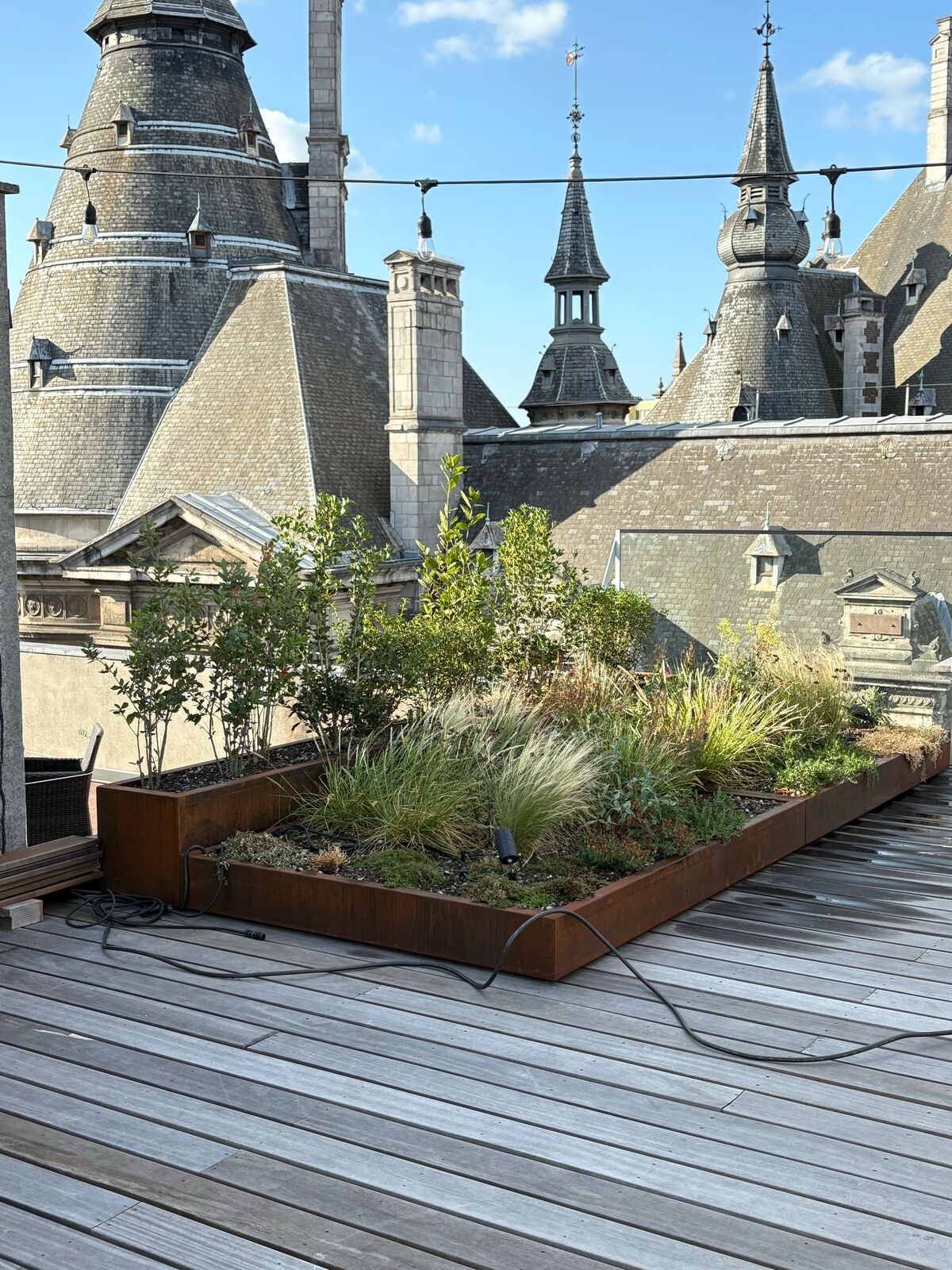 Daktuin, Antwerpen